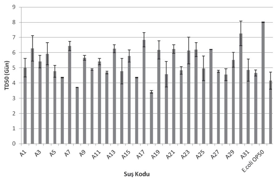 Gıda Kökenli Salmonella enterica Suşlarının Patojenik Fenotiplerinin ve Virülans Determinantlarının Ca