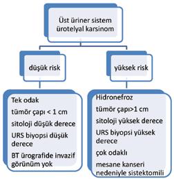 ATEŞ Tablo 5: Lokalize PCa da interstisyel lazer koagülasyon çalışmasında hastalar ve işlemlere ait özellikler Hasta Yaş PSA Bx GS İşlem süresi Ablasyon süresi Lazer enerji (W) Son GS 1 66 9.