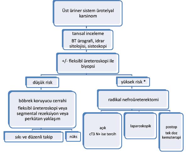 ÜROLOJİK MALİGNİTELERDE LAZER KULLANIMI Resim 3: Tek böbrekli hasta için yüksek riskli de olsa konservatif yaklaşım tercih edilebilir. tedir.