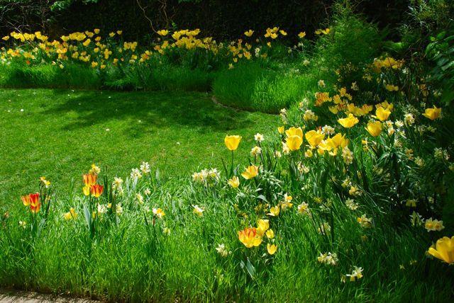 Crocus lar ile sade bir görünüm yaratırken Narcissus lar ile uzun boyunları ve narin taç yaprakları ile rüzgarda sallanan hafif çiçekleri ile çekici bir etki sağlarlar.