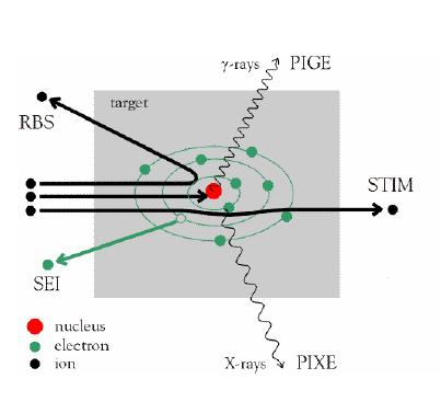 İyon Demeti Teknikleri MeV enerjili iyonların madde ile etkileşimi malzeme içeriğinin görüntülenmesi ve mikroanalizine olanak sağlar.