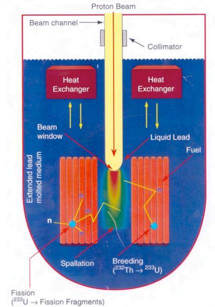 ADS Enerji üretimi (Carlo Rubbia) Süreç iki adımda gerçekleşir: Fisil olmayan Toryum, bir nötron yardımıyla fisil U-233 e dönüştürülür: Fisil U-233 ikinci bir nötron yardımıyla bölünerek, büyük bir