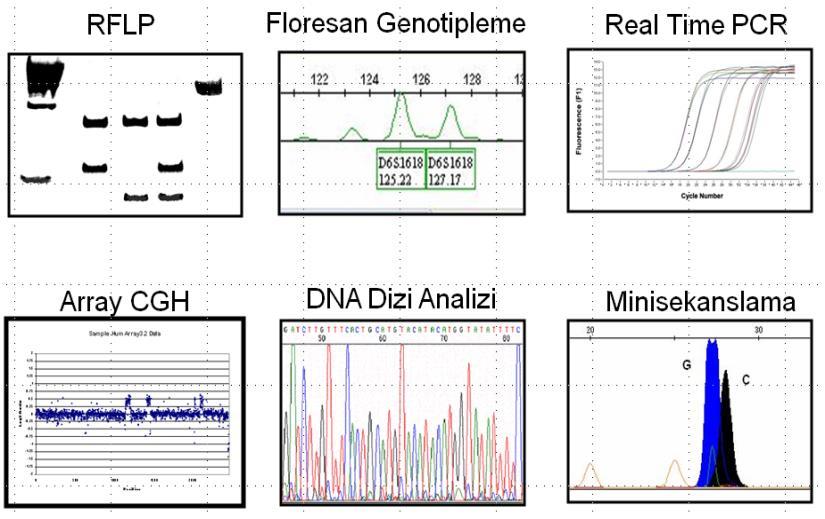 Her Mutasyon için ayrı nested PCR Sistemi + Genetik markerler (STR, SNP, VNTR) Allele Drop-Out