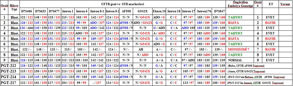 MARKERLER 1. D7S486 2. D7S522 3. D7S633 4. D7S677 5. INTRON 1 6. INTRON 6 7. INTRON 8-1 8. INTRON 8-2 9. CFTR (ΔF508/G542X) 10. EXON 10 (A/G) 11. EXON 14 (T/G) 12. INTRON 18 (C/A) 13.