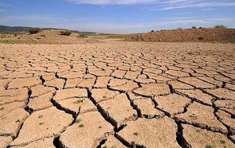 Kurak iklimlerin hüküm sürdüğü yerlerdeki hayvanlar ve bitkiler, nem eksikliğinden ve yüksek değişkenlikteki yağıştan dolayı olumsuz etkilenirler.