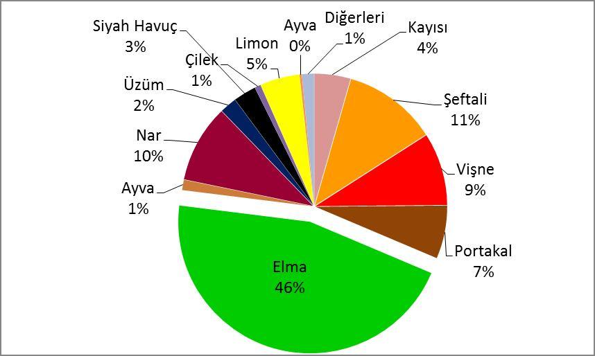 Meyve suyu üretiminde kullanılan meyvelerin oransal dağılımı (%) Grafiği Ersu Meyve ve Gıda Sanayi A.Ş. 31.03.2011 ve 31.03.2012 dönemi karşılaştırmalı meyve alım miktarları (Kg) MEYVE ADI 31.03.2011 31.