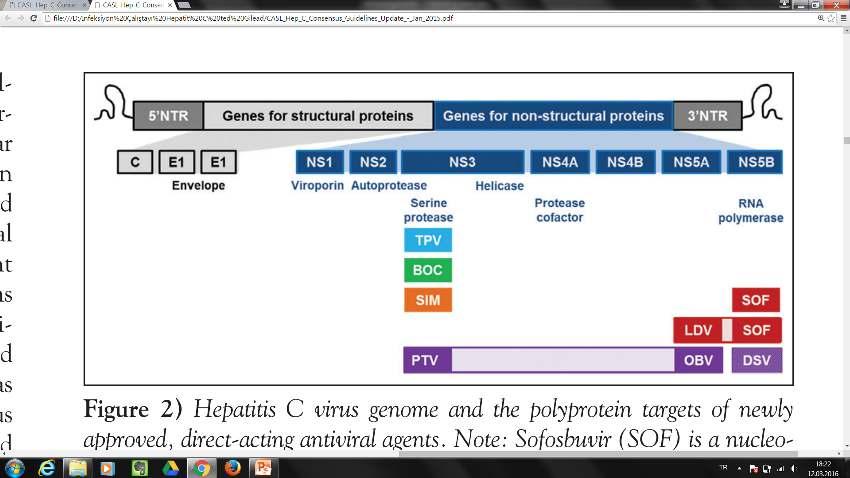 NS5B NI Orta potens Pangenoapik etkililik Dirence karşı yüksek bariyer NS5B NNI Orta potens Sınırlı genoapik etkililik Dirence karşı düşük bariyer NS3/4A Inhibitörleri Yüksek