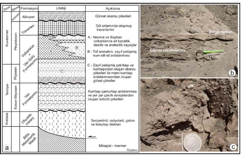 Okuldaş vd. 165 Şekil 2. a) Çalışma alanının genelleştirilmiş stratigrafik sütun kesiti (Aksoy, 1988; Acarlar vd., 1991 den değiştirilmiştir).