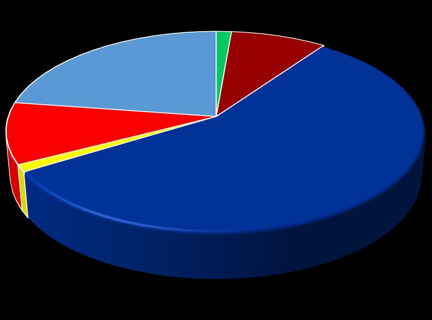 Satışlar (%) 12A2018 2,0 38,1 25,4 Q4 4Ç 4Ç Q4 12A YE 12A