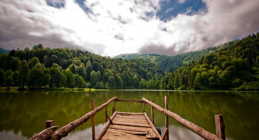 Kahvaltı sonrası yayla gezileri için hareket. Yaklaşık 2 saat sürecek yolculuk ile Çamlıhemşin de 2050 m. yükseklikte kurulmuş, Kaçkar ın en iyi terası konumundaki Pokut Yaylası na varış.