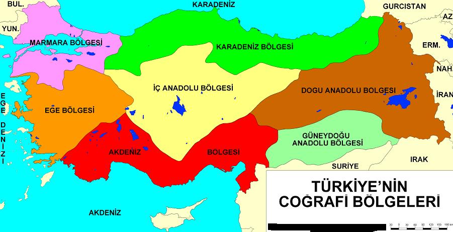 Türkiye de HBV Epidemiyolojisi %3.8 %6.1 %4.3 %3.