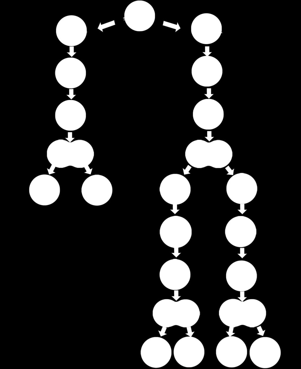 karşılaştırılması Görsel 1.