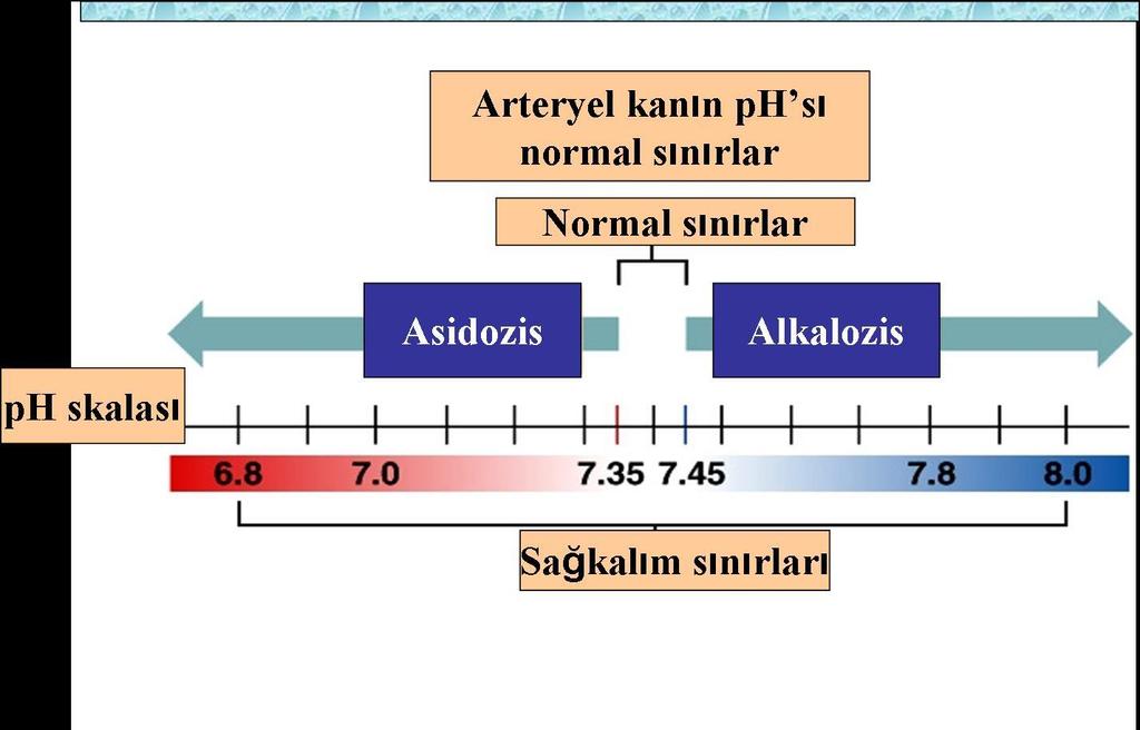 Arteryel