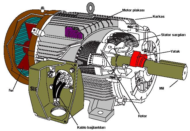 Üç Fazlı Asenkron Motorlar Üç Fazlı Asenkron Motorlar Üç fazlı asenkron motorlar, stator sargılarına uygulanan elektrik enerjisini mekanik enerjiye çevirerek milinden yüke aktarırlar.