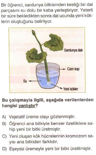 9-11- Memati, Şekil - I deki sürtünmesi önemsiz düzeneği kurup cismi F kuvvetiyle yukarı çıkarıyor.