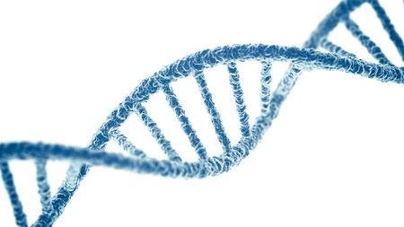 DNA taşıdığı REPLİKASYONU bilgi sayesinde hücrenin hayatsal faaliyetlerini yönetmekle birlikte, çoğalarak yeni hücreler