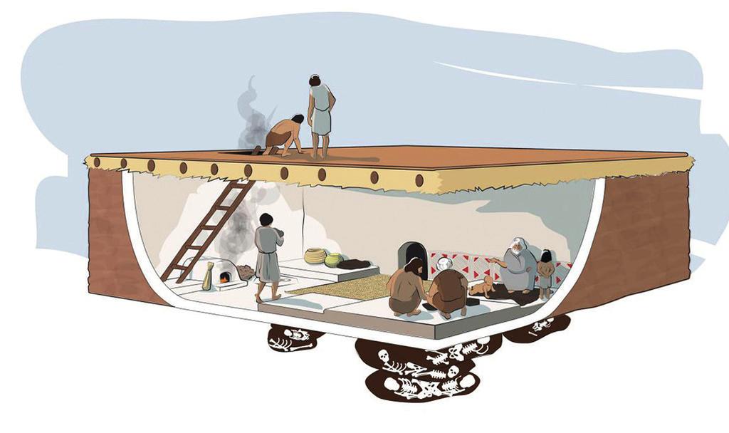 Karakteristik bir Çatalhöyük evinin yerleşim ve alan kullanımı gösteren bir betimleme.