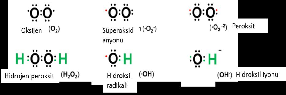 J. Fac. Pharm. Ankara, 43(1): 94-116, 2019 Aslan ve Karahalil 101 Şekil 1. Reaktif Oksijen Türleri Şekil 2.