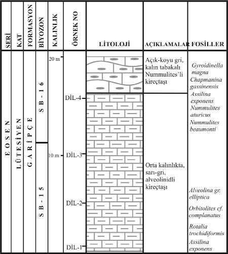 Görmüfl vd. 5 Çizelge 1. Bentik foraminiferlerin stratigrafik kesitlere göre da l m. Table 1. Distribution of benthic foraminifera in terms of stratigraphic sections.