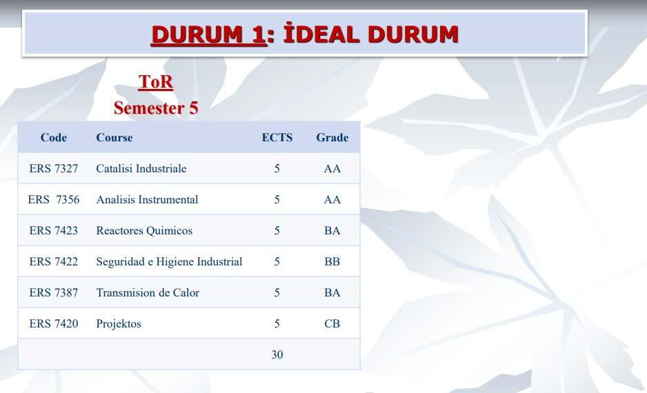 Tamamen yabancı bir ortamda kendi başınıza ayakta kalmayı öğrenecek, farklı kültür, farklı dil, din,