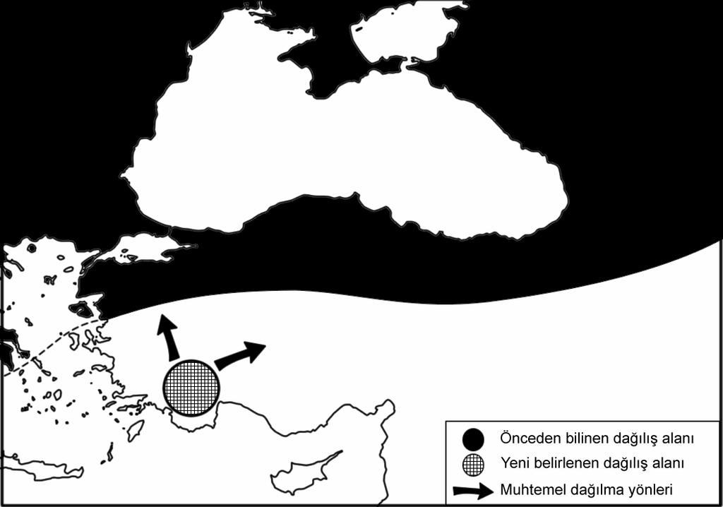Şekil 4.2. Donacia simplex in Türkiye ve çevresindeki dağılımı Çalışma alanında en bol bulunan sucul yaprak böceği olan D. simplex in (Bkz. Şekil 3.11; Çizelge 3.