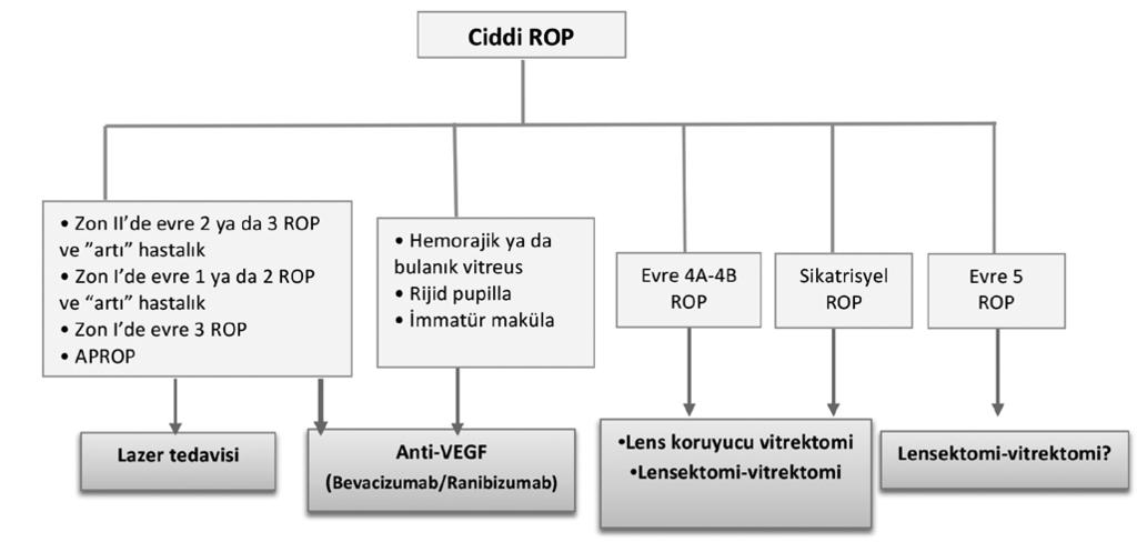 Makülanın halen vaskülarize olmadığı (immatür maküla) durumlar: Makülanın lazer tedavisinden kaçınmak için Retinanın görülmesini zorlaştıracak durumları varlığı: Pupil dilatasyonunun yetersiz olması,