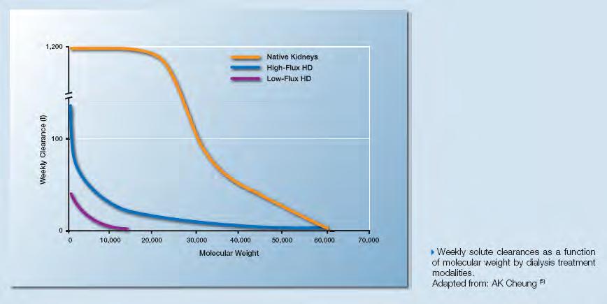 High Flux vs.