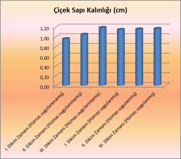 30 etkisi istatistiki olarak önemli bulunmamıştır (Sayman, 2016). Ibadan glayöl çeşidinde, 15 Haziran dikim tarihi, çiçek sapı kalınlığını istatistiki olarak artırmıştır (Yalçıntaş ve ark., 2017).