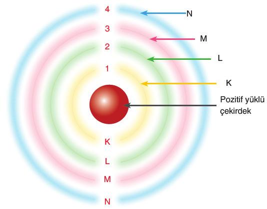 2. Kuantum Sayıları Kuantum sayıları orbitallerin ve orbitallerde yer alan elektronların belirlenmesinde kullanılır. a. Baş (Birincil) Kuantum Sayısı n ile gösterilir.