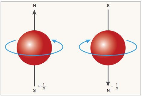 c. Manyetik Kuantum Sayısı Alt enerji düzeyinde kaç tane orbital olduğunu gösteren kuantum sayısına manyetik kuantum sayısı denir. m l ile gösterilir. Orbitalin uzaydaki yönlenmesini gösterir.