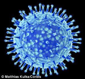 İnfluenza A Virüs Genel korunma: Önlemede grip aşılarının normal popülasyona göre daha