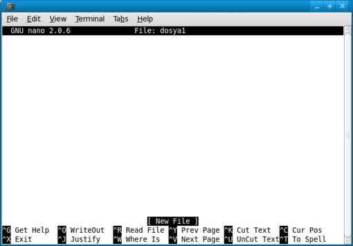 nano Serbest yazılım lisansıyla pico nun yerini alabilecek bir metin editörü