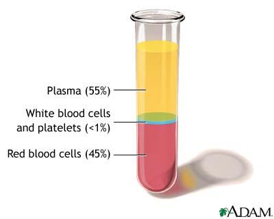 Hematokrit oranı erkeklerde % 40-50 arasında