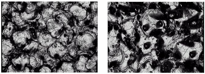 d = 15 g/l graphite/ grafit Figure 12.