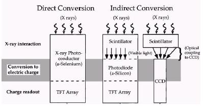 2.4.2.5 Elektronik X Ray Dedektörleri Elektronik x ray dedektörleri direkt ve indirekt dönü türücü dedektörler olmak üzere ikiye ayrılırlar.