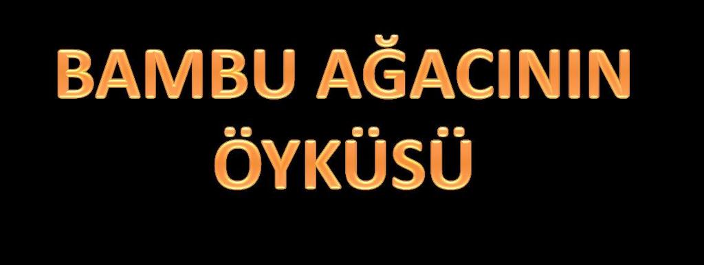 Ve nihayet beşinci yılın sonlarına doğru bambu yeşermeye başlar ve altı hafta gibi kısa bir sürede yaklaşık 27 metre boyuna ulaşır.