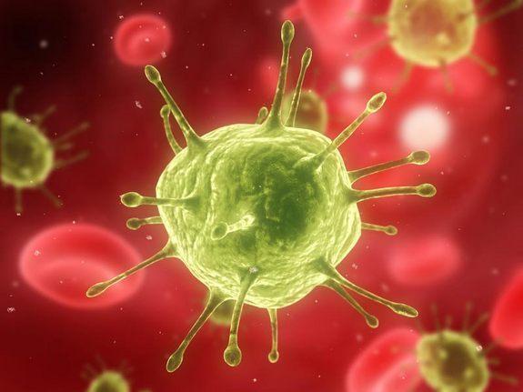 HIV Özgün bir virüs (bir retrovirus) Küresel bir salgın