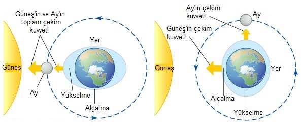 Gel-Git Ay ın çekim kuvveti Yer in merkezine göre Ay a dönük