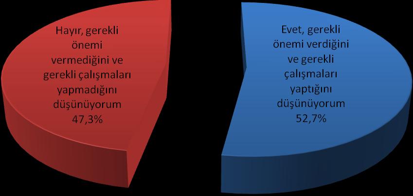 8. AVRUPA BİRLİĞİ AK PARTİ Hükümeti'nin Avrupa Birliği'ne girme konusunda gerekli önemi verme durumu ve gerekli çalışmaları