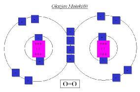 6 orbitalinde iki elektron eksik olduğundan diradikal olarak değerlendirilir. (Cheeseman ve Slater 1993). Oksijenin atom ve moleküler haldeki elektron dağılımları Şekil 2.