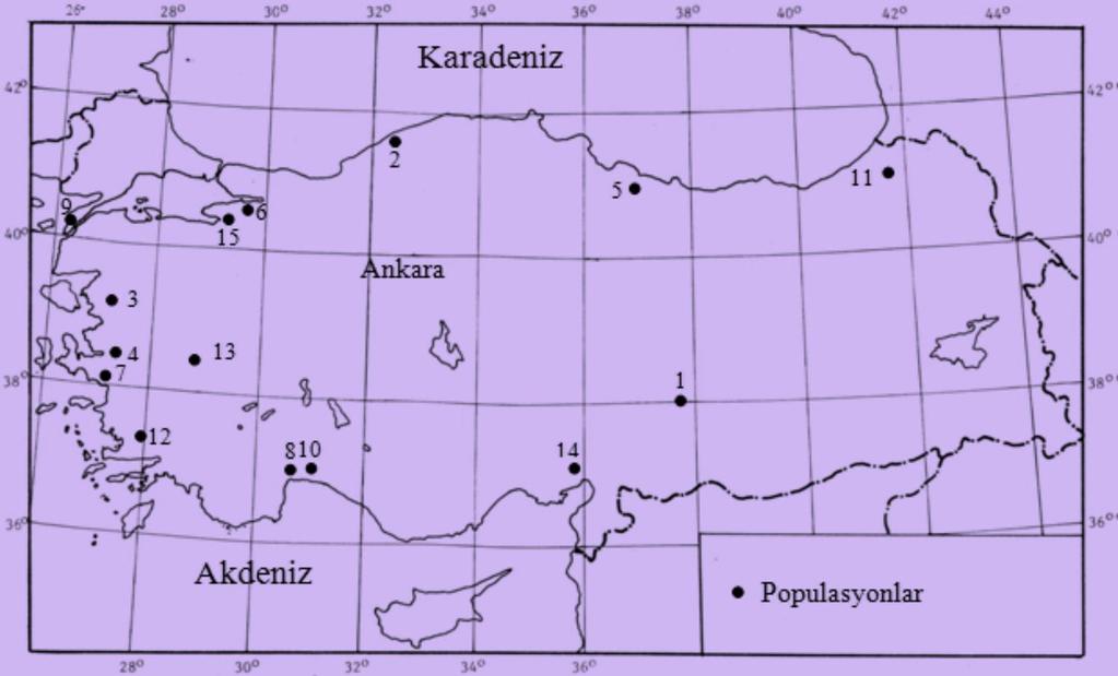 Çanakkale-Radar Mevkii, Manisa-Gördes, Çoruh vadisinde Fıstıklı