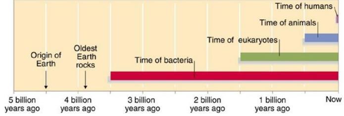 Bakterilerle uğraşmak zor!