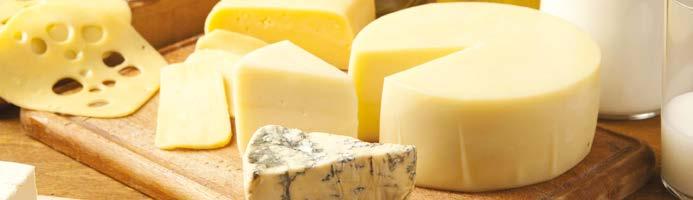 PEYNIR VE PEYNİR ALTI SUYU PASTÖRIZATÖRLERI Peynir İşleme Uygulamaları Peynir işleme uygulamalarında size yardımcı olacak şekilde donatılmış, peynir işleme çözümleri üreticisiyiz.