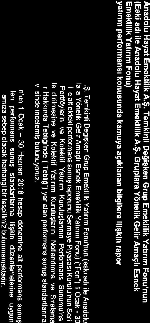 yatırım performansı konusunda kamuya açıklanan bilgilere ilişkin rapor (Eski adı ile Anadolu Hayat Emeklilik A.Ş.