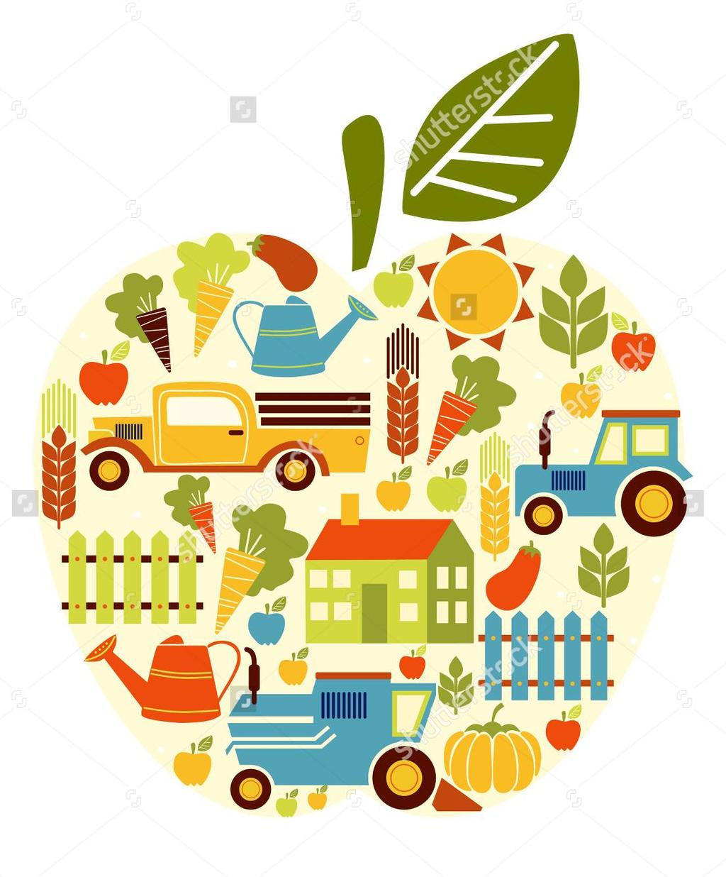 İKLİM DEĞİŞİKLİĞİ AZALTIMI Organik tarım konvansiyonel tarıma oranla %48 ile %66 arasında daha düşük CO 2 salımı Organik tarım yapılan topraklar hektar başına 3 ile 8 kat