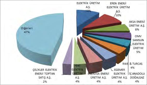 Miktarlarının Şirket Bazında Dağılımı ve İlk 10 Şirketin Payı