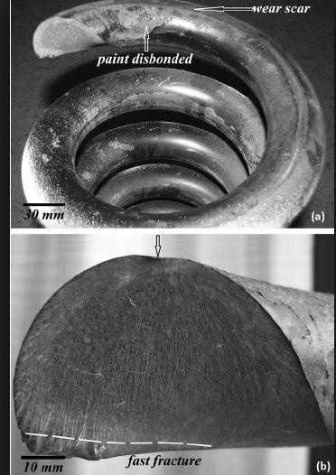 (a) Fractured spring and (b)