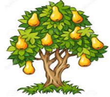 Limon ağaçları elma ağaçlarından kaç tane eksiktir?