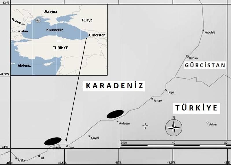 Şekil 1. Rize sahil şeridinde denemelerinin gerçekleştirildiği araştırma istasyonları. Şekil 2.