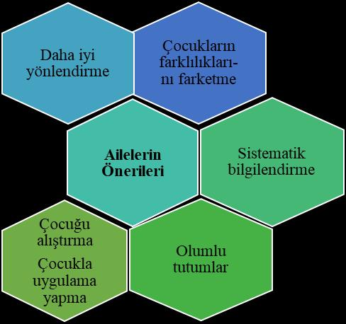 74 5. Birincil bakıcıların değerlendirme sürecine ilişkin önerileri: Araştırma sürecinde, aileler değerlendirme sürecine ilişkin birçok öneride bulunmuştur.